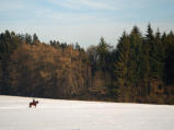 Einsamer Reiter in Winterlandschaft