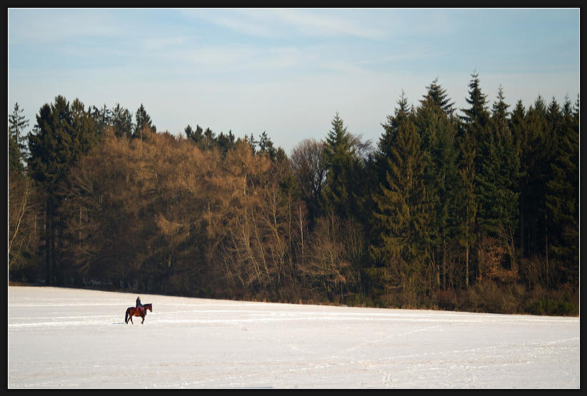 Reiter in Winterlandschaft